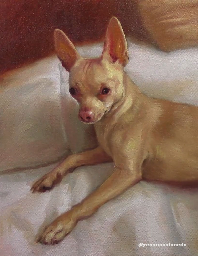 cuadros de chihuahuas